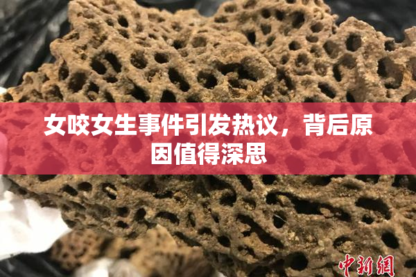 女咬女生事件引发热议，背后原因值得深思