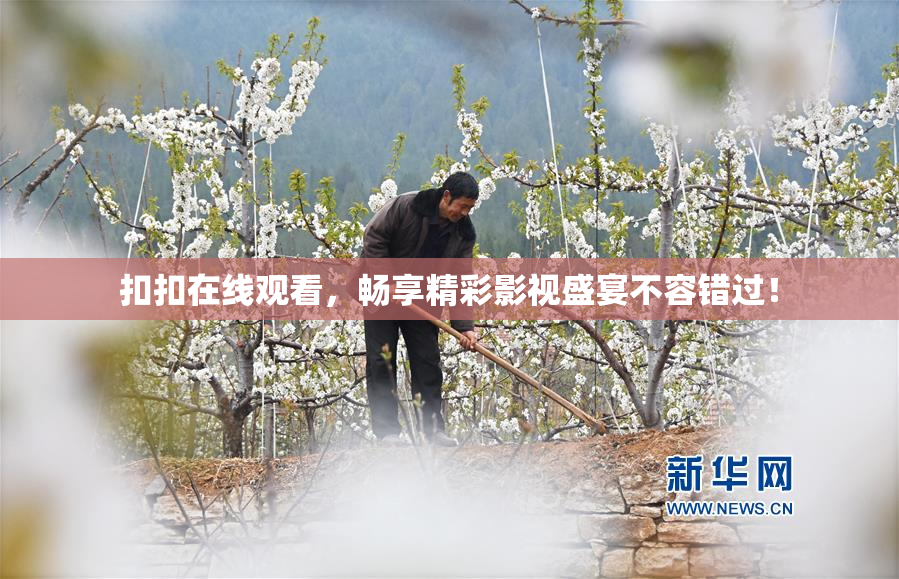 扣扣在线观看，畅享精彩影视盛宴不容错过！
