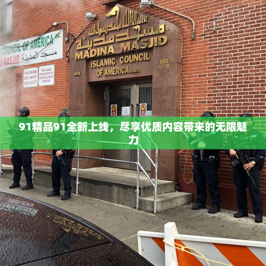 91精品91全新上线，尽享优质内容带来的无限魅力