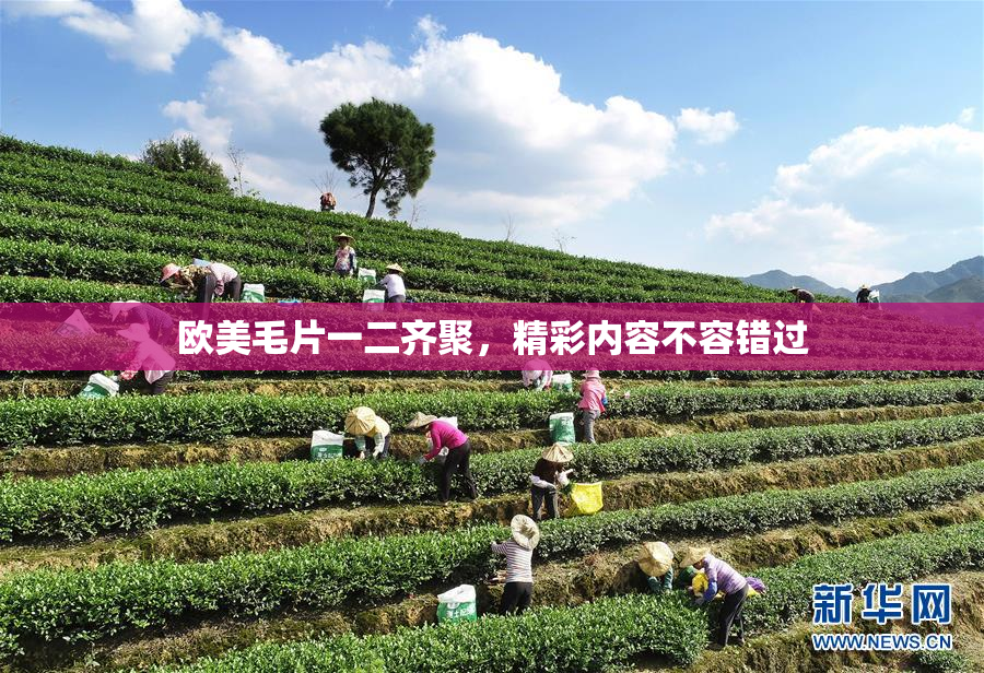 欧美毛片一二齐聚，精彩内容不容错过