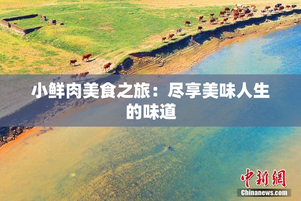 小鲜肉美食之旅：尽享美味人生的味道