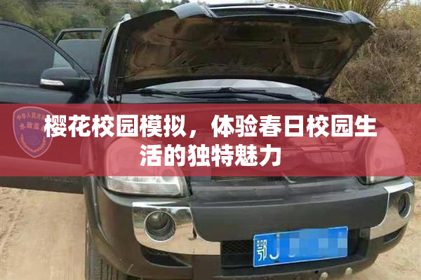 樱花校园模拟，体验春日校园生活的独特魅力