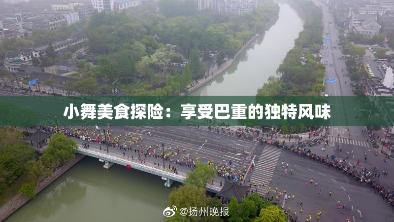 小舞美食探险：享受巴重的独特风味