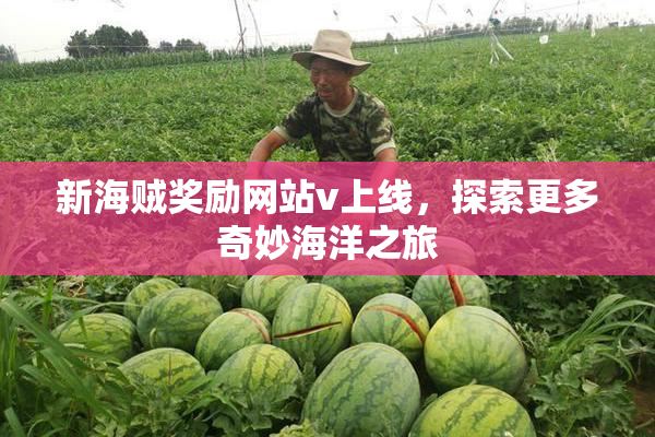 新海贼奖励网站v上线，探索更多奇妙海洋之旅