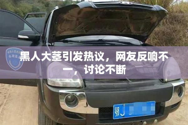 黑人大茎引发热议，网友反响不一，讨论不断