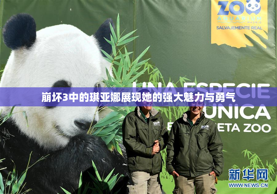 崩坏3中的琪亚娜展现她的强大魅力与勇气