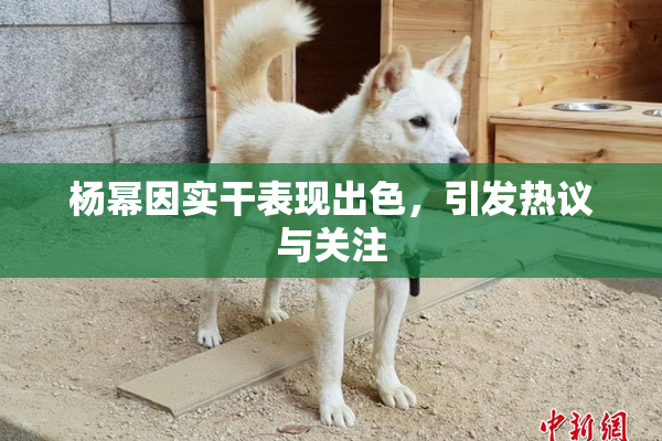 杨幂因实干表现出色，引发热议与关注