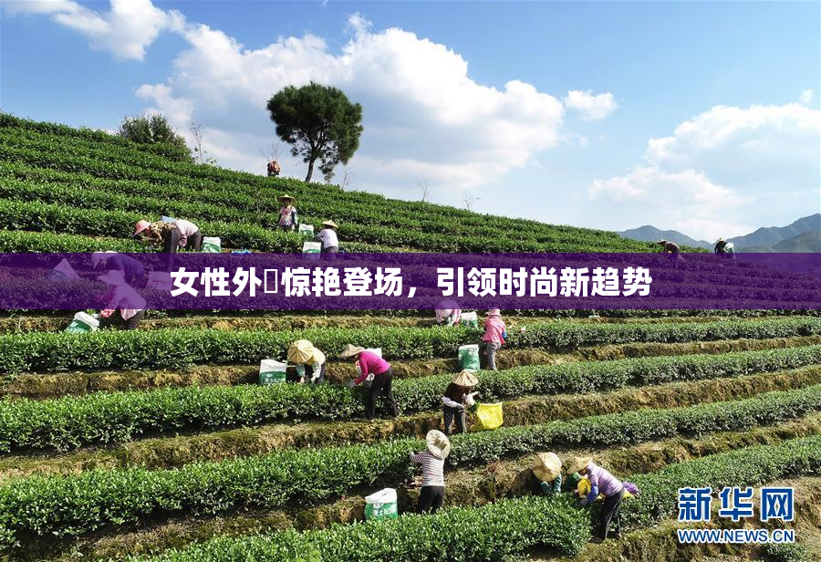 女性外夝惊艳登场，引领时尚新趋势