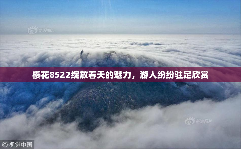 樱花8522绽放春天的魅力，游人纷纷驻足欣赏
