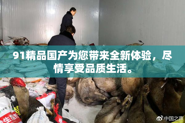 91精品国产为您带来全新体验，尽情享受品质生活。