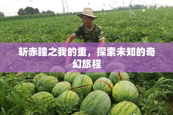 斩赤瞳之我的重，探索未知的奇幻旅程