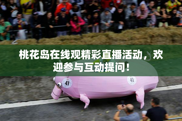 桃花岛在线观精彩直播活动，欢迎参与互动提问！