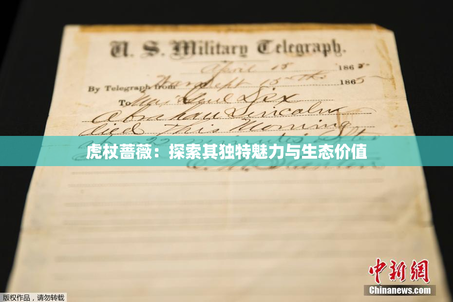 虎杖蔷薇：探索其独特魅力与生态价值