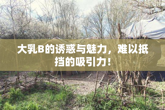 大乳B的诱惑与魅力，难以抵挡的吸引力！