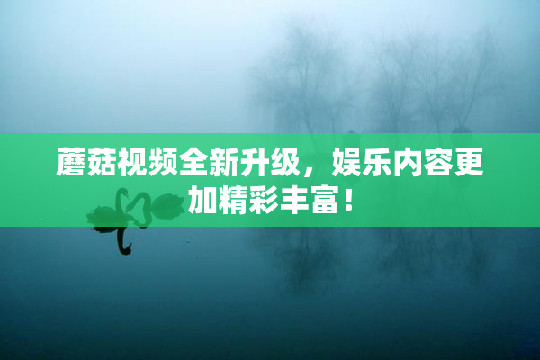 蘑菇视频全新升级，娱乐内容更加精彩丰富！