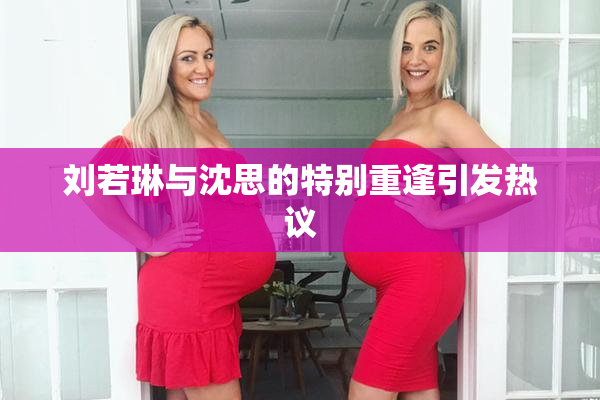 刘若琳与沈思的特别重逢引发热议