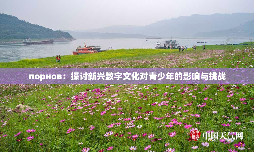порнов：探讨新兴数字文化对青少年的影响与挑战