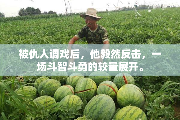 被仇人调戏后，他毅然反击，一场斗智斗勇的较量展开。
