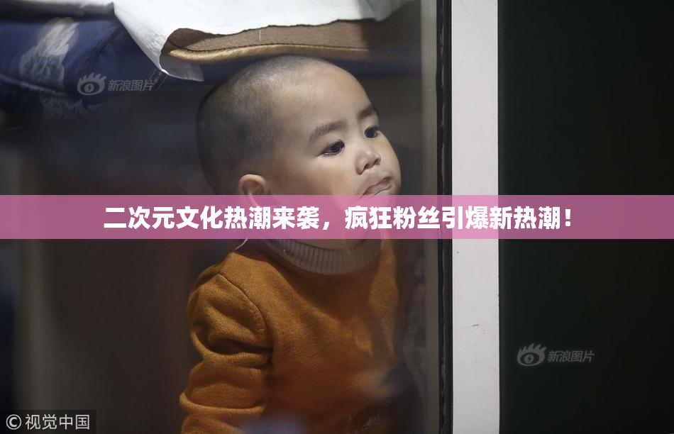 二次元文化热潮来袭，疯狂粉丝引爆新热潮！