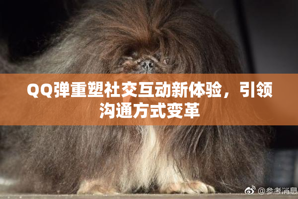 QQ弹重塑社交互动新体验，引领沟通方式变革