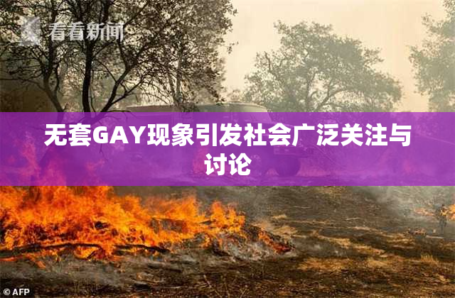 无套GAY现象引发社会广泛关注与讨论