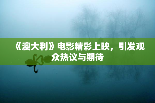 《澳大利》电影精彩上映，引发观众热议与期待