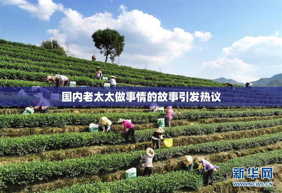 国内老太太做事情的故事引发热议