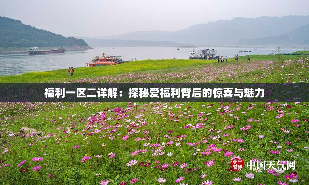 福利一区二详解：探秘爱福利背后的惊喜与魅力