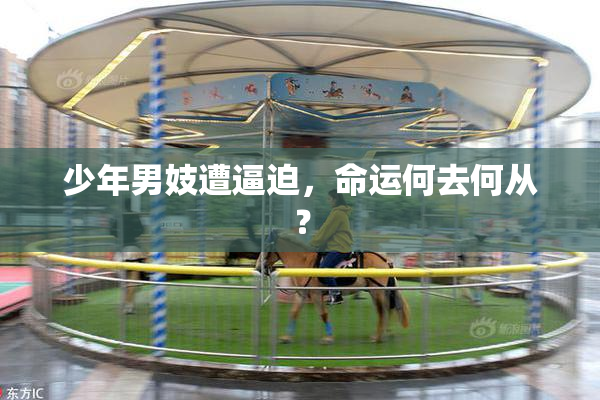 少年男妓遭逼迫，命运何去何从？