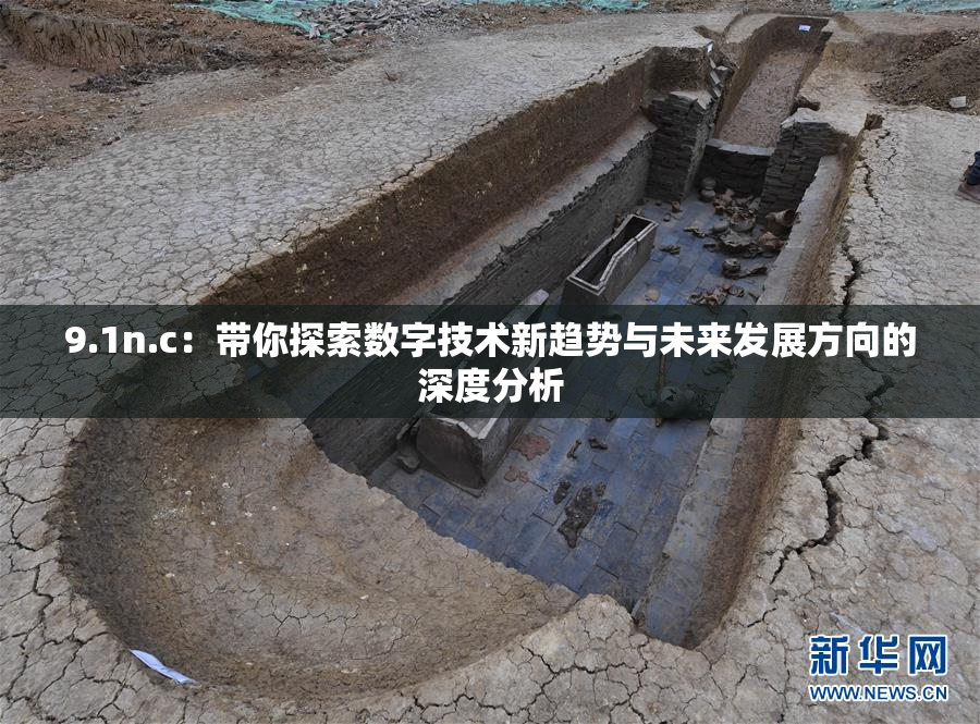 9.1n.c：带你探索数字技术新趋势与未来发展方向的深度分析