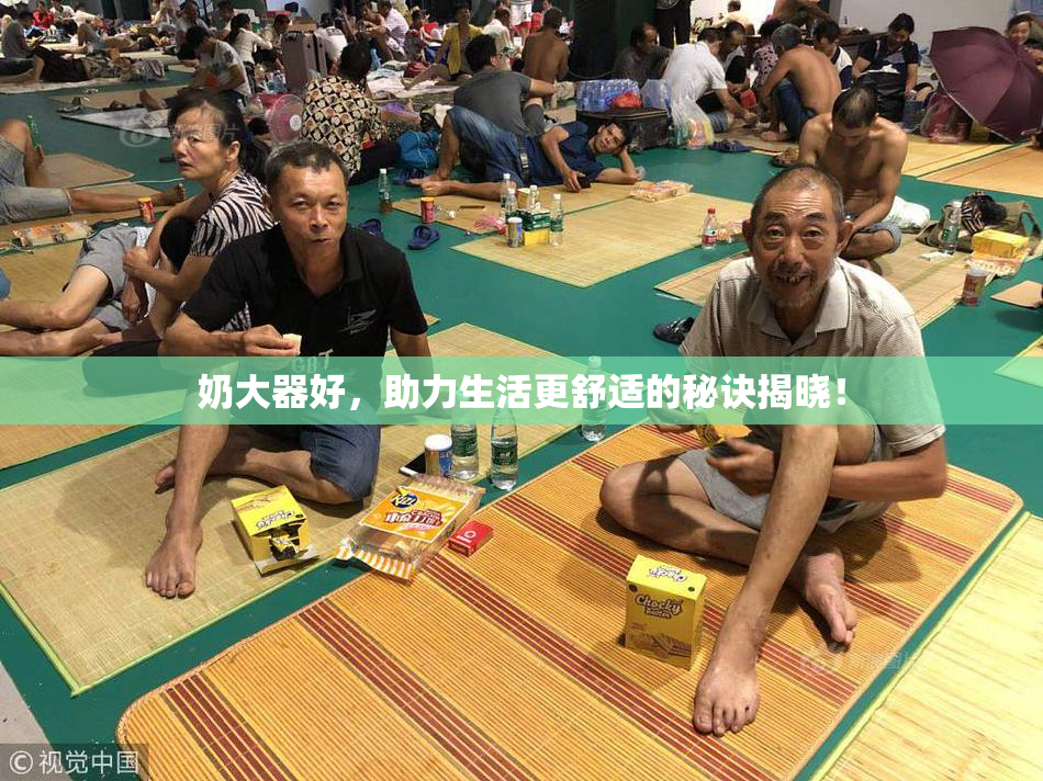 奶大器好，助力生活更舒适的秘诀揭晓！