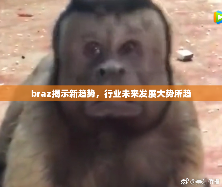 braz揭示新趋势，行业未来发展大势所趋