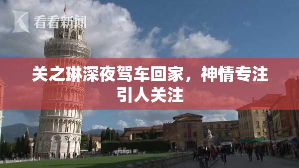 关之琳深夜驾车回家，神情专注引人关注