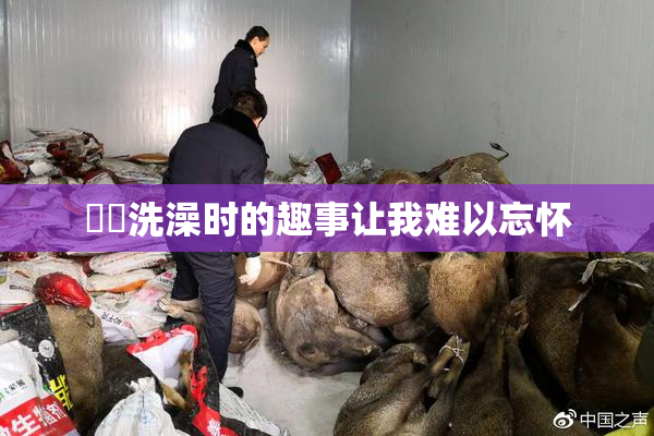 妺妺洗澡时的趣事让我难以忘怀