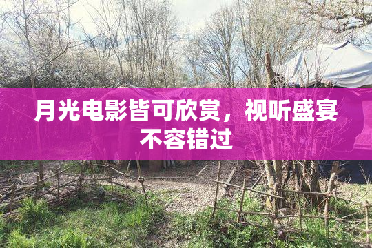 月光电影皆可欣赏，视听盛宴不容错过