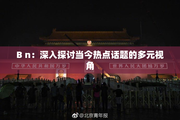 B n：深入探讨当今热点话题的多元视角