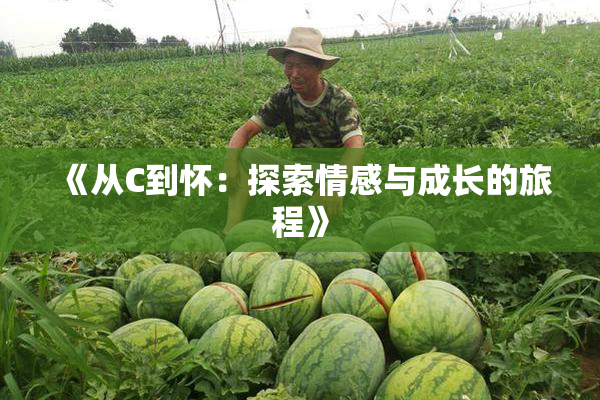 《从C到怀：探索情感与成长的旅程》