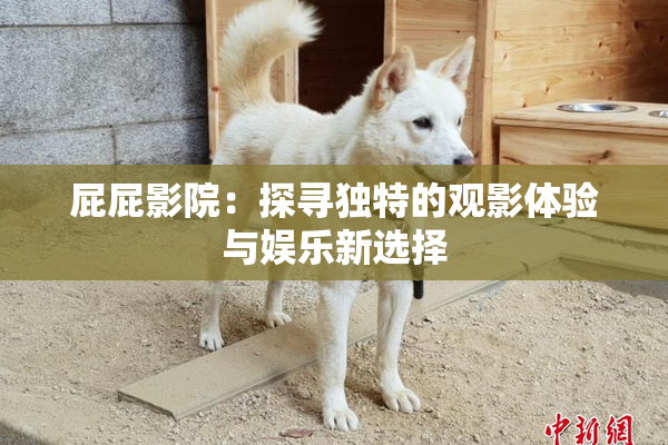 屁屁影院：探寻独特的观影体验与娱乐新选择
