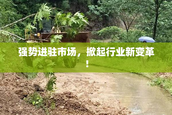 强势进驻市场，掀起行业新变革！