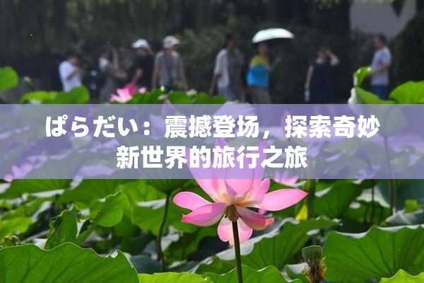 ぱらだい：震撼登场，探索奇妙新世界的旅行之旅