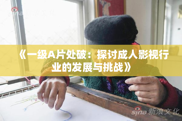 《一级A片处破：探讨成人影视行业的发展与挑战》