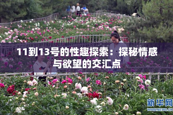 11到13号的性趣探索：探秘情感与欲望的交汇点