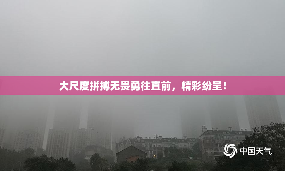 大尺度拼搏无畏勇往直前，精彩纷呈！