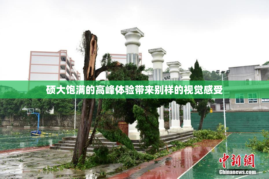 硕大饱满的高峰体验带来别样的视觉感受