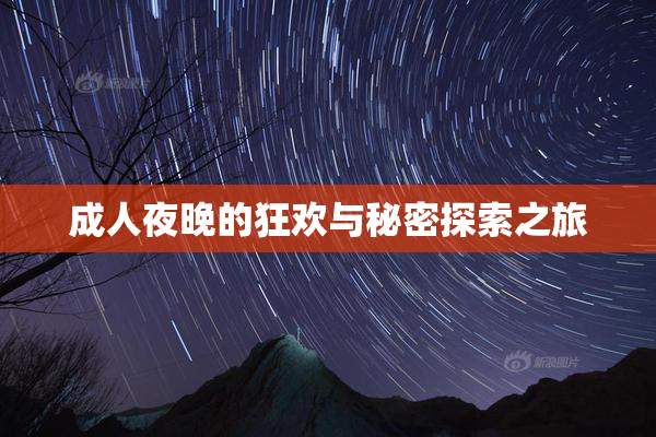 成人夜晚的狂欢与秘密探索之旅