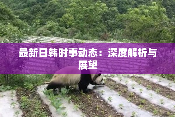 最新日韩时事动态：深度解析与展望