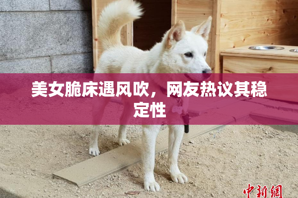 美女脆床遇风吹，网友热议其稳定性