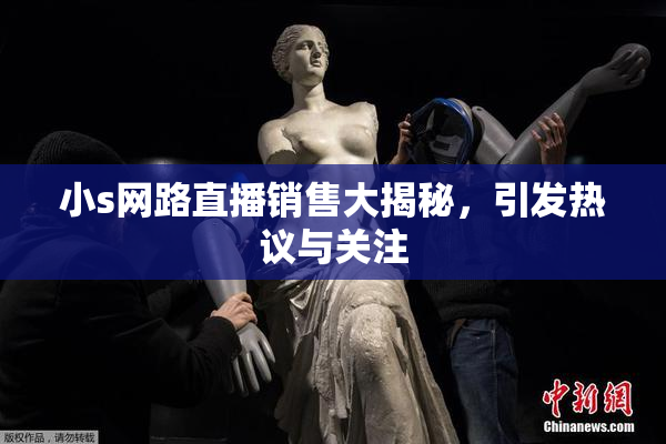 小s网路直播销售大揭秘，引发热议与关注