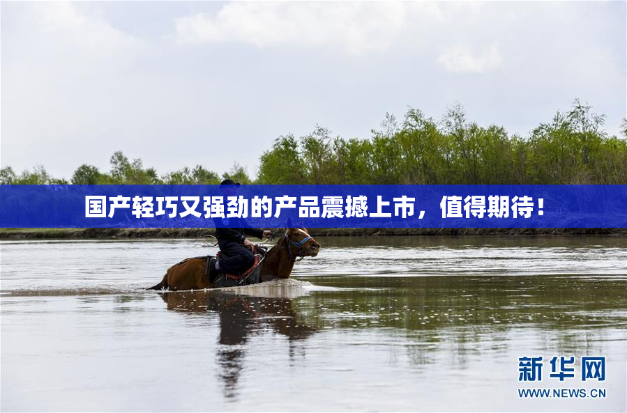 国产轻巧又强劲的产品震撼上市，值得期待！