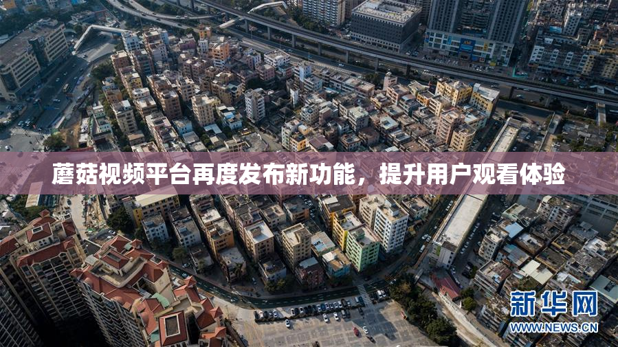 蘑菇视频平台再度发布新功能，提升用户观看体验